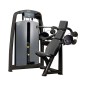 Arm Extension Technogym Selection