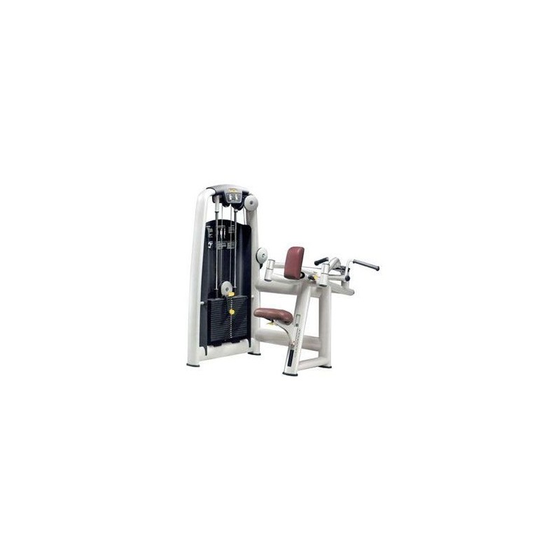 Upper back Technogym Selection - Upper back Technogym Selection -