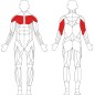 Chest press incliné Technogym Selection