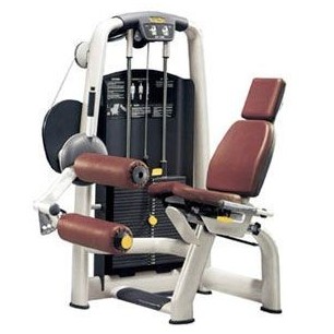 Leg curl Technogym Selection - Extension des jambes