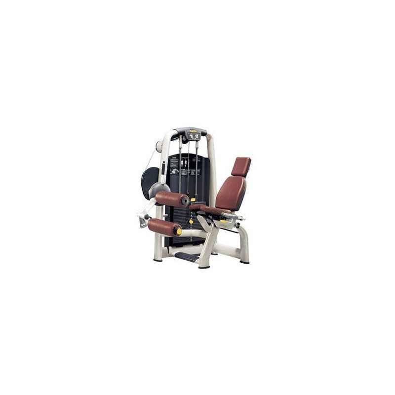 Leg curl Technogym Selection Leg curl Technogym Selection