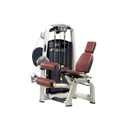 Leg curl Technogym Selection - Extension des jambes
