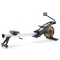 Air Rower pro Evocardio Renegade